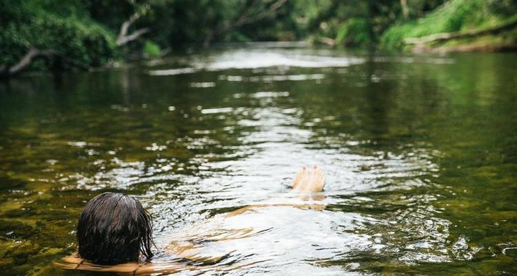 De Brisbane à la forêt tropicale de Daintree - Circuit de 9 jours - Via Travel Australia 1