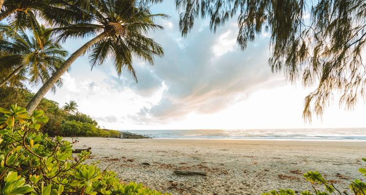 Plage tropicale paisible encadrée par des palmiers et une végétation luxuriante au lever du soleil avec une lumière douce sur l'océan.