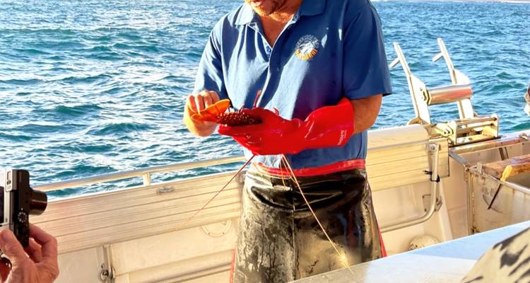 Australia’s West Coast & Ningaloo Reef – 8 Day Boutique Comfort Tour - Via Travel Australia 7