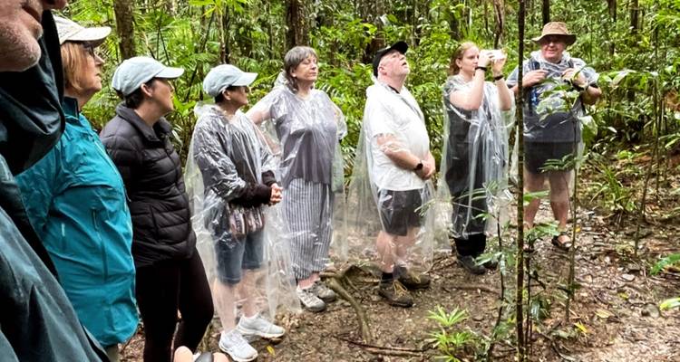 Daintree Rainforest, Cape Tribulation & Port Douglas – 3 Day Boutique Tour - Via Travel Australia 6
