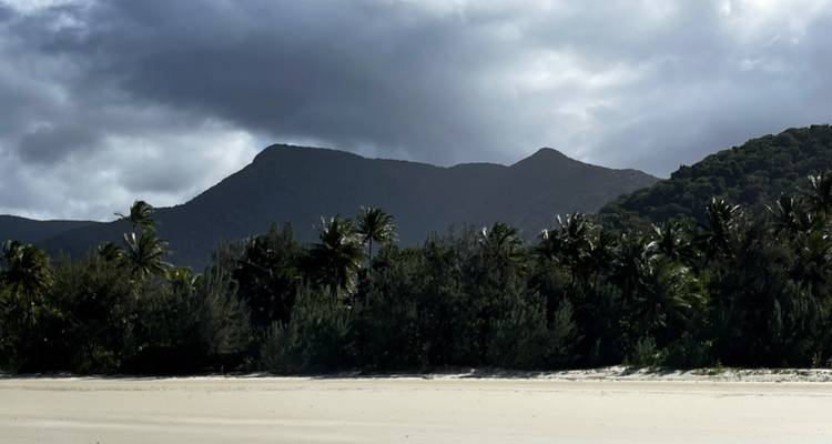 Daintree Rainforest, Cape Tribulation & Port Douglas – 3 Day Boutique Tour - Via Travel Australia 8
