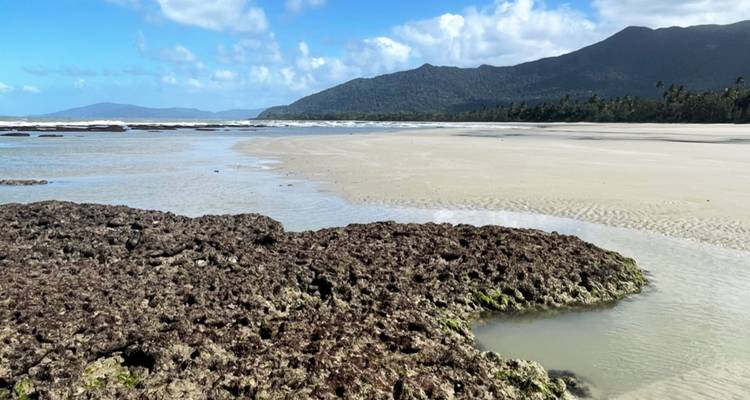 Daintree Rainforest, Cape Tribulation & Port Douglas – 3 Day Boutique Tour - Via Travel Australia 10