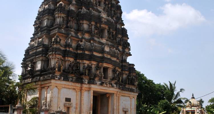 Un tour d'horizon de la culture et des merveilles naturelles du Sri Lanka en 8 jours - Apple Vacations Pvt Ltd 7
