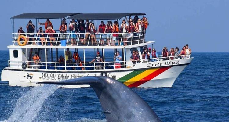 Un tour d'horizon de la culture et des merveilles naturelles du Sri Lanka en 8 jours - Apple Vacations Pvt Ltd 9