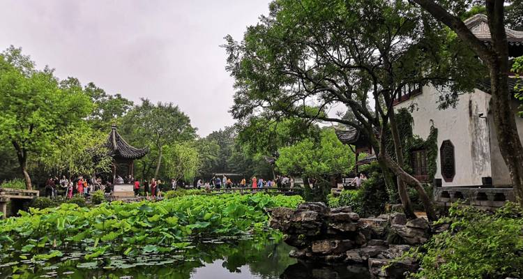 Traditional Chinese garden with lush greenery and water lilies.