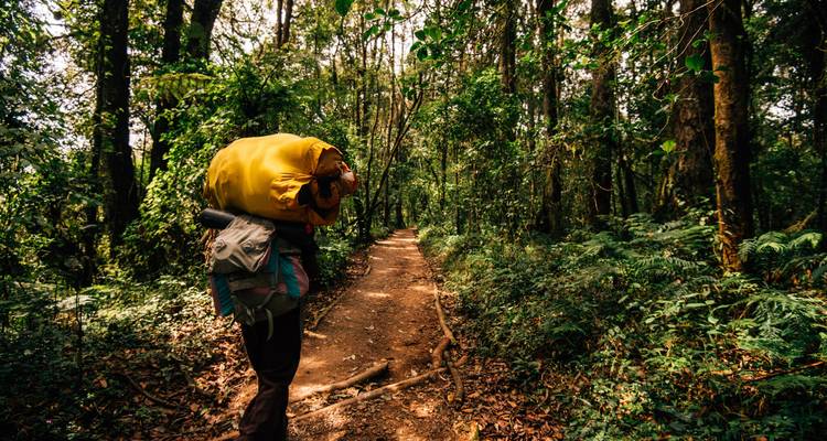 Climb Kilimanjaro via the Lemosho route - Follow Alice 3