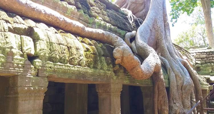 Circuit privé de 5 jours à Siem Reap pour découvrir tous les temples d'Angkor - About Cambodia Travel & Tours 8