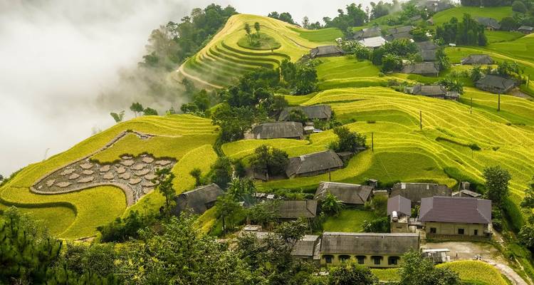 Panoramablick auf lebendige Reisterrassen mit verstreuten traditionellen Häusern unter einem bewölkten Himmel.