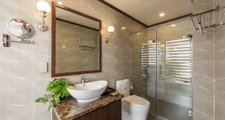 Modern and stylish cruise bathroom with a shower and plant decor.