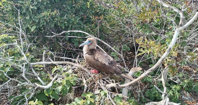14 Days Peruvian Andes & Galapagos Islands - Responsible Travel South America 3