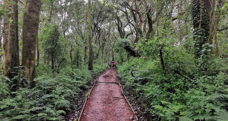 Escalada al Kilimanjaro por la ruta Umbwe 6 días - Johnadventures 3