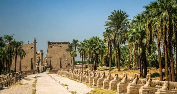Sphinxenlaan die naar de Luxor Tempel leidt.