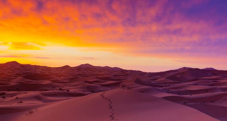 3 jours d'excursion dans le désert à Merzouga - Camp de luxe - Morocco Tour Marrakech  3