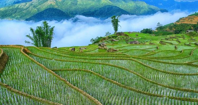 Wonders of Vietnam and Thailand 13 Days - Halong Bay/Sapa/Bangkok/Koh Samui - PrestiGo Asia 9