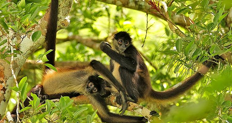 Guatemala à mesurer - Groupe privé de 6 personnes ou plus - GTM Tour Guide and Travel Services 1