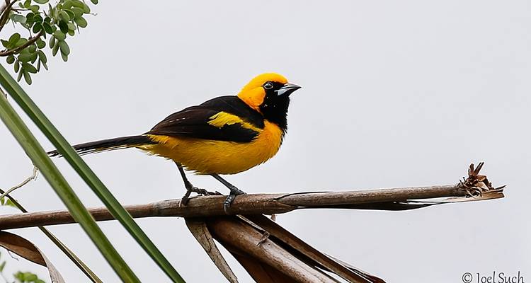 Guatemala à mesurer - Groupe privé de 6 personnes ou plus - GTM Tour Guide and Travel Services 4