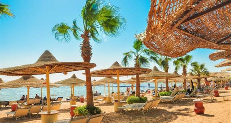 Strandresort mit Sonnenliegen, Palmen und Strohsonnenschirmen.