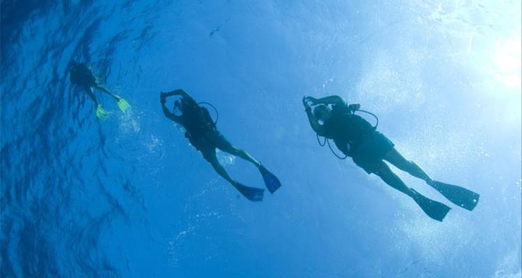 Taucher schwimmen unter Wasser mit Flossen.