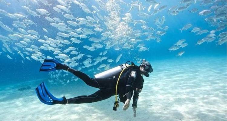 Explorer la beauté des déserts et des plages d'Égypte - Nilvison Egypt Tours  1