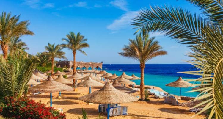 Explorer la beauté des déserts et des plages d'Égypte - Nilvison Egypt Tours  2