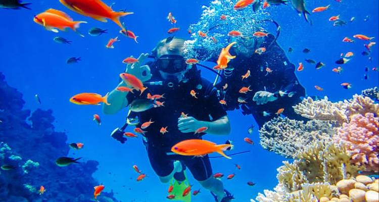 Explorer la beauté des déserts et des plages d'Égypte - Nilvison Egypt Tours  3