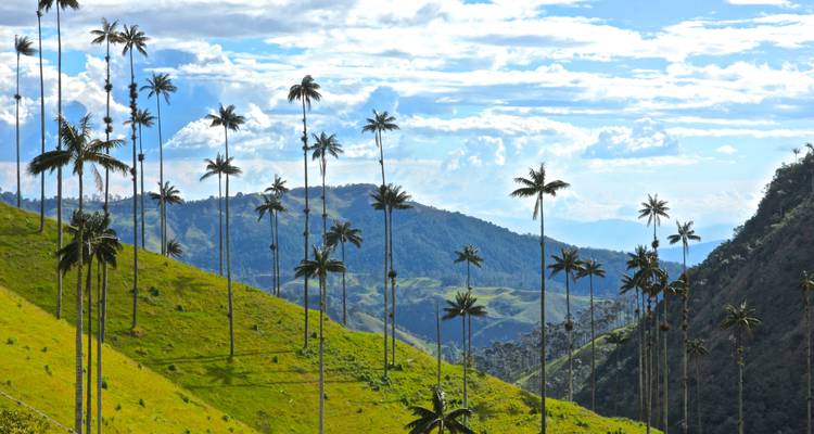 L'essence de la Colombie - Awake Travel 6