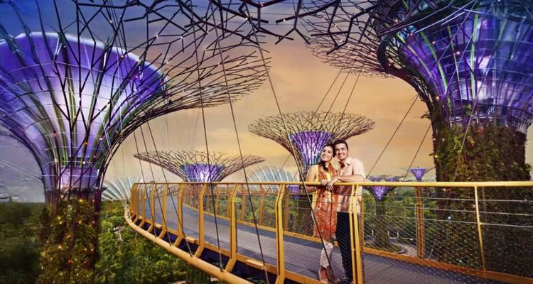 Ein Paar steht auf der OCBC Skyway, umgeben von hohen Supertrees in der Dämmerung.