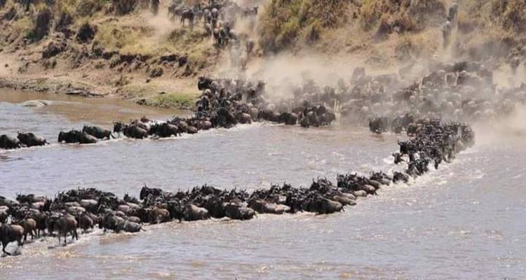 Safari combiné de 15 jours au Kenya et en Tanzanie - Spider Tours and Safaris 6