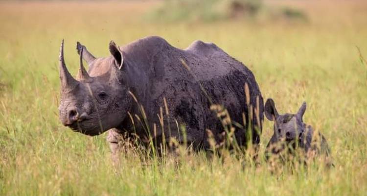 5 días en la naturaleza de Tanzania, circuito del café y Tribus culturales Auténticas - Click Expeditions 8