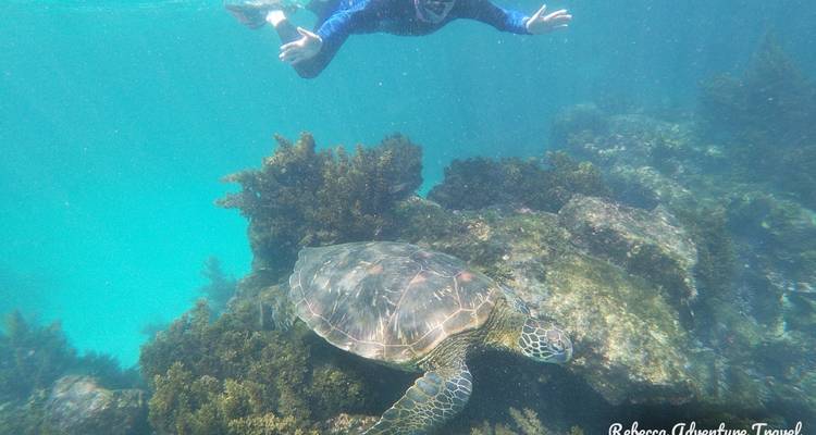 Excursión de 9 días a las Islas Galápagos en familia y con niños - Rebecca Adventure Travel 4