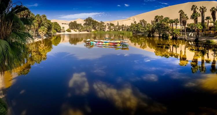 Islas balletas, Ica, oasis de Huacachina y Líneas de Nazca: 2 días - Peru Trek 4 Good 4
