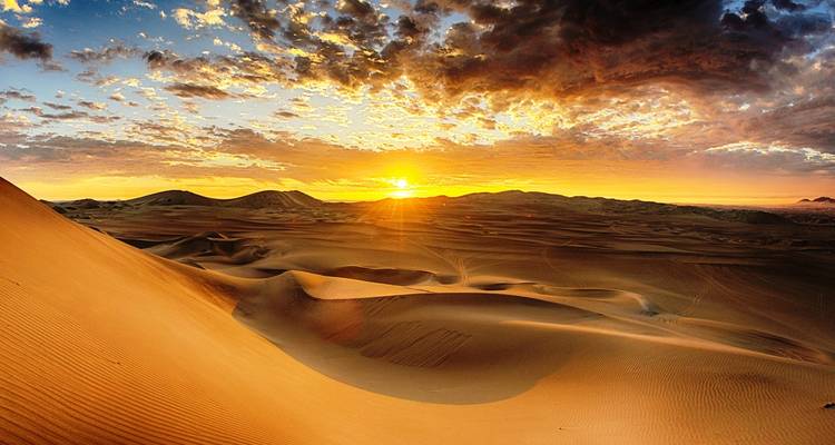 Islas balletas, Ica, oasis de Huacachina y Líneas de Nazca: 2 días - Peru Trek 4 Good 6