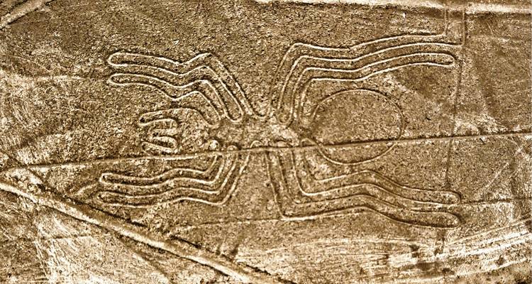 Islas balletas, Ica, oasis de Huacachina y Líneas de Nazca: 2 días - Peru Trek 4 Good 10