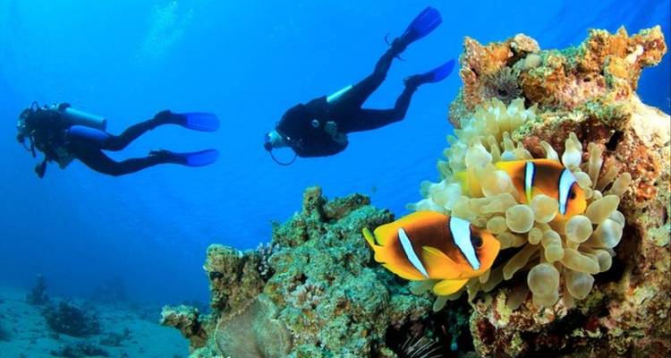 Explorer les Nubiens et les plages - Nilvison Egypt Tours  2
