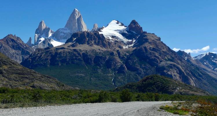 Nahaufnahme des Mount Fitz Roy mit üppigem Grün.