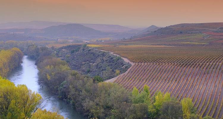 Weitläufige Weinbergterrassen erstrecken sich entlang eines gewundenen Flusses unter einem sanften pastellfarbenen Abendhimmel im Douro-Tal in Portugal.