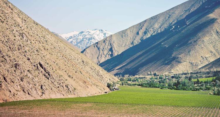 8 jours Santiago et Valparaiso - Culture du vin et aventure ! - Responsible Travel South America 2