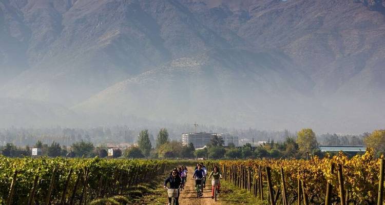 8 jours Santiago et Valparaiso - Culture du vin et aventure ! - Responsible Travel South America 3