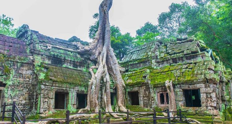 Discover Cambodia from Phnom Penh to Siem Reap 8 Days Tour - About Cambodia Travel & Tours 2