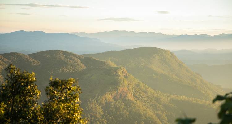 La suave luz matutina revela ondulantes crestas montañosas verdes cubiertas de niebla que se desvanecen en el horizonte.