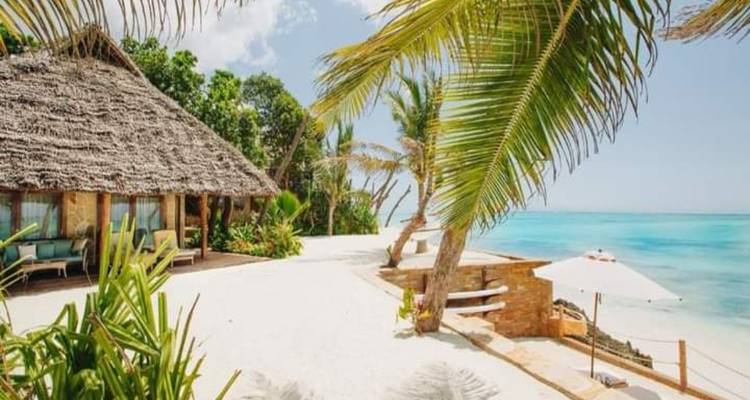 Ein Strandresort mit einem strohgedeckten Haus, Palmen und dem Meer.