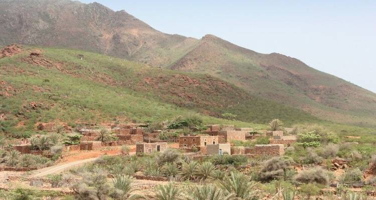 Socotra - île de la fin des temps - DIAMIR Erlebnisreisen 7
