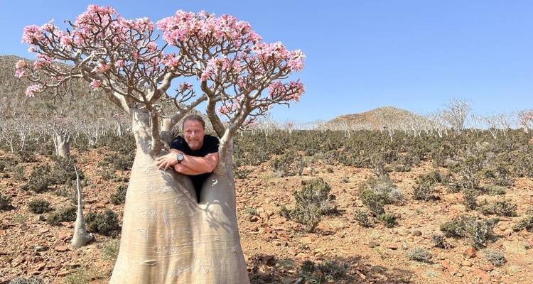 Socotra - île de la fin des temps - DIAMIR Erlebnisreisen 8