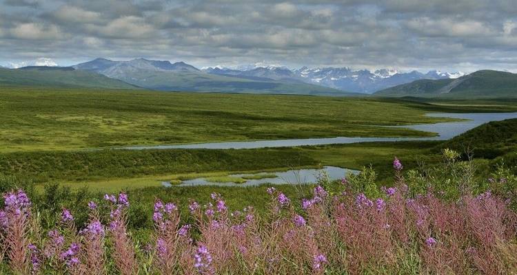 Los paraísos naturales de Alaska - DIAMIR Erlebnisreisen 2