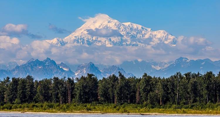 Majestätischer Blick auf die Denali-Bergkette mit grünem Wald.
