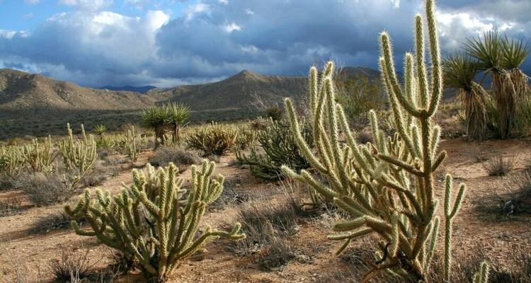 Les trésors de la Californie - DIAMIR Erlebnisreisen 2