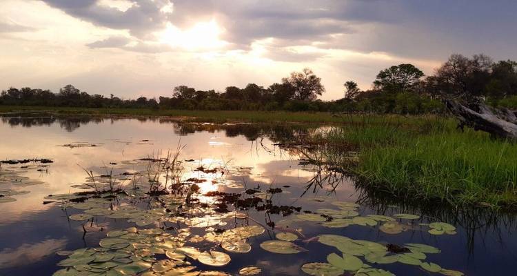 Leones del Kalahari, springboks y antílopes lechwe - DIAMIR Erlebnisreisen 4