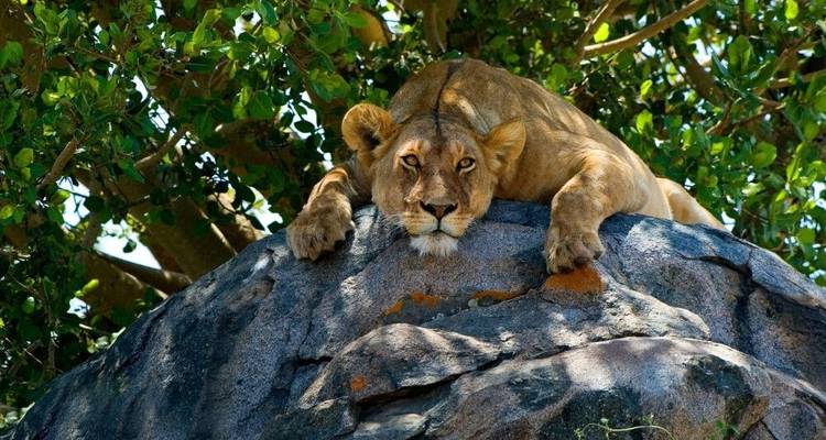 The Savannah - DIAMIR Erlebnisreisen 8