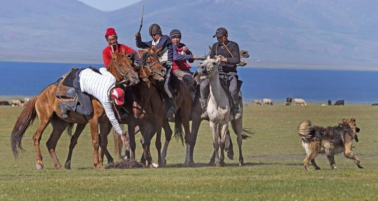 Riders on horses in a grassy field.
