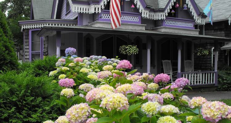 Bunte Blumen vor einem malerischen, geschmückten Haus.